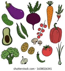 Vegetables isolated on white background. Vector harves set.