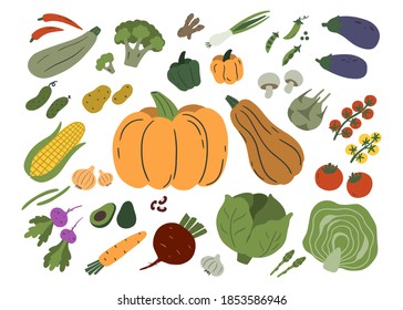 Vegetables isolated on white background. Set of zucchini, champignons, eggplant, potatoes, pumpkin, tomatoes etc. Vector flat illustration.