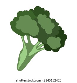 ฺBroccoli vegetables .isolated on white background ,Vector illustration EPS 10