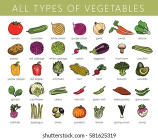 Vegetables isolated set. Cabbage, kohlrabi, brussels sprouts, broccoli, peppers, onions, asparagus. Drawn colored illustration in vector.