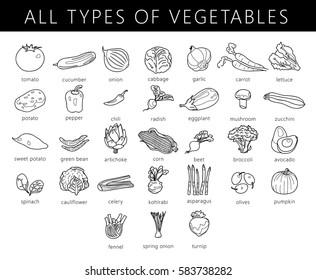 Vegetables isolated set. Cabbage, kohlrabi, brussels sprouts, broccoli, peppers, onions, asparagus. Drawn colored illustration in vector.