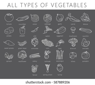 Vegetables isolated set. Cabbage, kohlrabi, brussels sprouts, broccoli, peppers, onions, asparagus. Drawn colored illustration in vector.