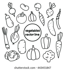 Vegetables line art  Cabbage  tomatoes  peppers  cucumbers  potatoes  beans  carrots  onions  The black outline hand  drawing  isolated white background  Vector illustration  