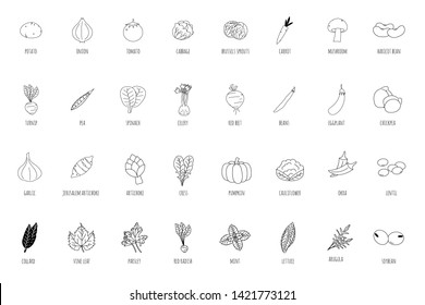 Vegetables Line Art Design Set. Vectoral Illustrations.