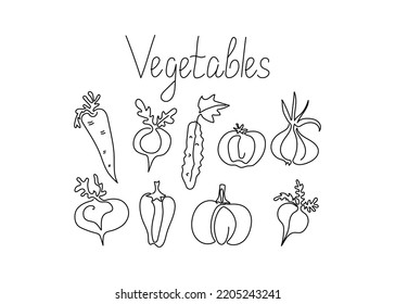Vegetables in line art style. Set of vegetables. Drawings in one line. Vector graphics. Isolated background.