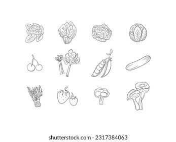 Vegetables Line Art Vector for Food Industry