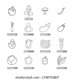 vegetables line icon set with cucumber, garlic, bay leaves, eggplant, green peas, bell pepper, chili pepper, onion, parsley, tomato