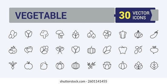 Vegetables line icon set. Included green, health, vegetarian, vegetable, nature, food, fresh and more. Thin web icons. Healthy vector icon set. Editable stroke. Vector collection.