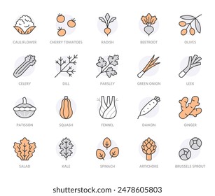 Vegetables line icon set. Kale, spinach, pumpkin, cherry tomato, cauliflower, beetroot, daikon minimal vector illustration. Simple outline sign for veggies. Orange color, Editable Stroke