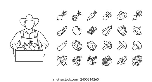 Vegetables line icon set - onion, garlic, carrots, potatoes, cucumber, tomato, pumpkin, eggplant, cabbage,, broccoli, mushrooms, parsley, dill, thyme.