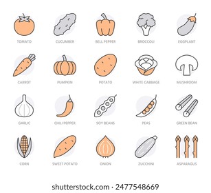 Vegetables line icon set. Pumpkin, cucumber, broccoli, carrot, zucchini, asparagus, potato, garlic minimal vector illustration. Simple outline sign for veggies. Orange color Editable Stroke