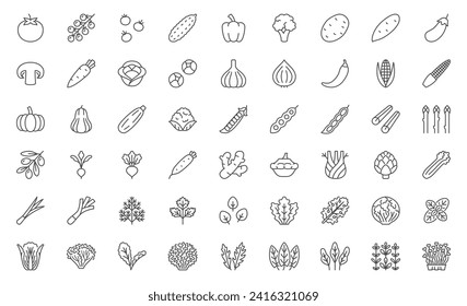 Vegetables line icon set. Tomato, cherry, cucumber, pepper, broccoli, potato, carrot, cabbage, asparagus minimal vector illustrations. Simple outline signs for natural organic food. Editable Stroke