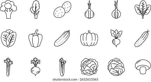 Conjunto de ícones de linha de legumes. Pictogramas vetoriais de brócolis, batata, cebola, alho, alface, espinafre, pimenta, pepino, abóbora, nabo, aipo, repolho,