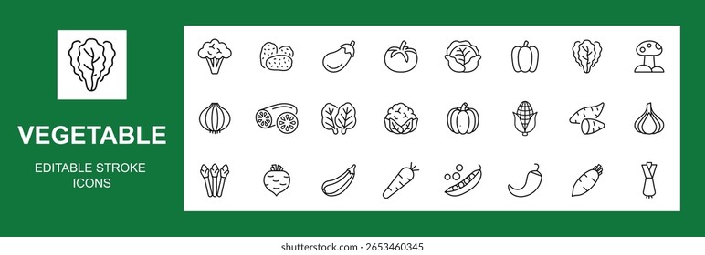 Conjunto de ícones de linha de legumes. Pictogramas vetoriais de brócolis, batata, cebola, alho, alface, espinafre, pepino, abóbora, nabo, nabo, aipo, repolho, ícones de cogumelos, AVC editável. Ilustração vetorial.