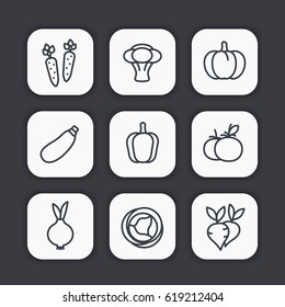 Vegetables line icons set