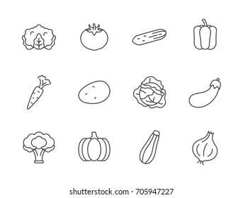 Iconos de línea de verduras con brócoli, zucchini, cebolla, calabaza, col, tomate, coliflor, pepino, pimienta, zanahoria, papa, berenjena.