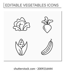 Vegetables line icons set. Edible plant. Vegetarian, healthy nutrition. Cabbage and sweet corn, cucumber and radish. Agriculture concept. Isolated vector illustration. Editable stroke