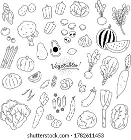 vegetables line vector icon illustration (white background)
