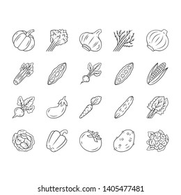 Vegetables linear icons set. Potato, carrot, pepper. Soup and salad ingredients. Vitamin and diet. Healthy nutrition. Thin line contour symbols. Isolated vector outline illustrations. Editable stroke