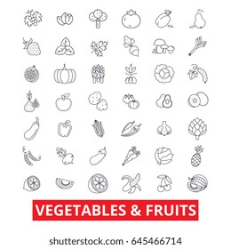 Vegetables, mixed fruits, garden food, fresh tomato, apple, carrot, green salad line icons. Editable strokes. Flat design vector illustration symbol concept. Linear signs isolated on white background