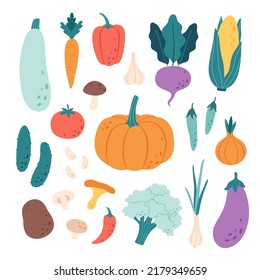 Vegetables, mushrooms, beans. Natural organic nutrition. Healthy food, dietetics products, fresh vitamin grocery products. Vector illustration in flat style