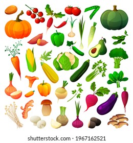 Vegetables and mushrooms set, veggies flat icons