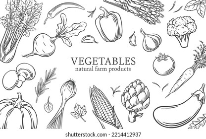 Vegetales, productos agrícolas naturales diseño plantilla de ilustración vectorial. Esbozo cosechado a mano de verduras para menú vegetariano saludable orgánico, ingredientes de comida cruda para cocinar en patrón