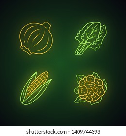 Vegetables neon light icons set. Cauliflower, onion, corn, spinach. Vitamin. Diet. Healthy nutrition. Organic food. Vegetarian food. Glowing signs. Vector isolated illustrations