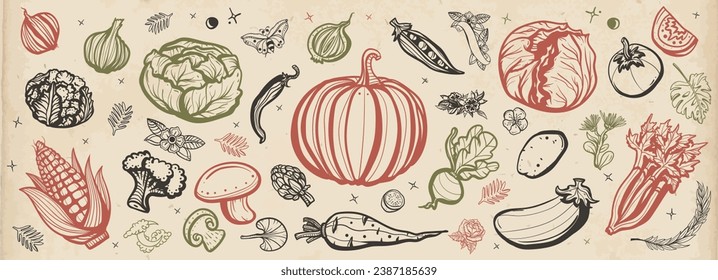 Vegetables. Old school tattoo collection. Cabbage, pumpkin, beets, tomato, corn, vegetables, lettuce, mushrooms, eggplant, potatoes, carrots, garlic. Traditional tattooing style