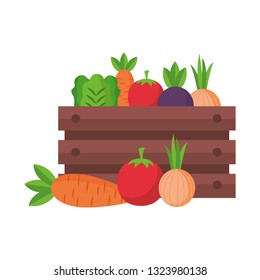 vegetables on box