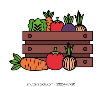 vegetables on box