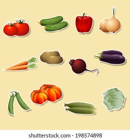 vegetables on paper:  corn, potatoes, tomatoes, carrots, peppers  with shadow