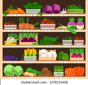 Vegetables on shelves. Market vegetable stall with prices, eco supermarket ripe healthy organic grocery sale, tomato and pumpkin, garlic and corns vector illustration