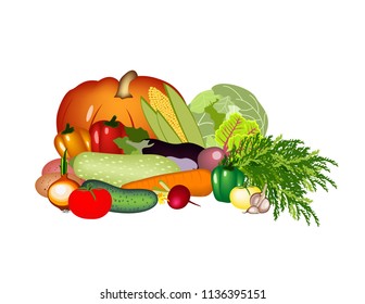 Vegetables on white background