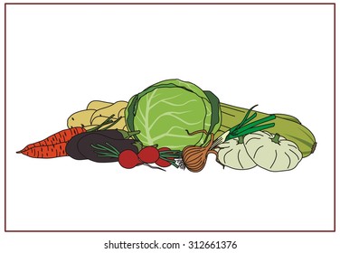 Vegetables on white background