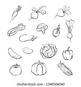 Vegetables on white background drawing.