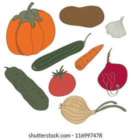 Vegetables on a white background, vector