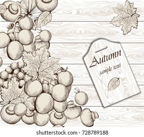 Vegetables on wood background. Vector background. Line art hand drawn graphic style illustration