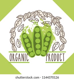 vegetables organic natural