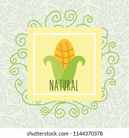 vegetables organic natural