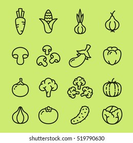 Vegetables Organic Vegetarian Food Minimalistic Flat Line Outline Stroke Icon Pictogram Symbol Set Collection