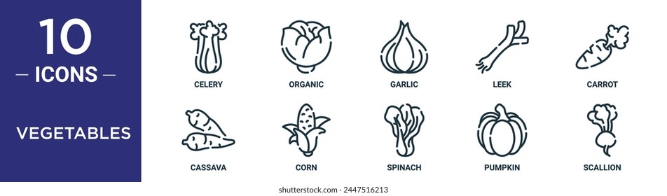 vegetables outline icon set includes thin line celery, organic, garlic, leek, carrot, cassava, corn icons for report, presentation, diagram, web design