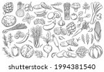 Vegetables outline vector icons set. Monochrome artichoke, leek, culinary herbs, corn, garlic, cucumber, pepper, onion, celery, asparagus, cabbage and ets.