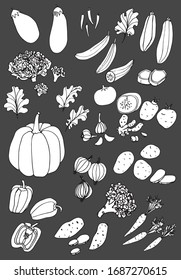 Gemüse - Outline-Vektorillustration Schwarz-Weiß-Bild