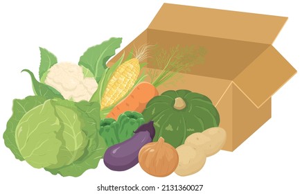 Vegetables packed in tanbo. Vector illustration.