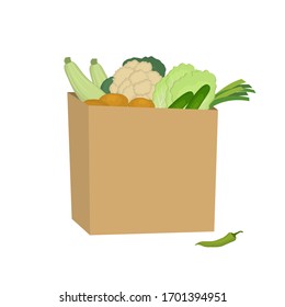 Vegetables in a paper bag. Food Delivery Concept. There are cauliflower, potatoes, cucumbers, zucchini, Chinese cabbage, green onions and chili peppers in the picture. Vector illustration on a white