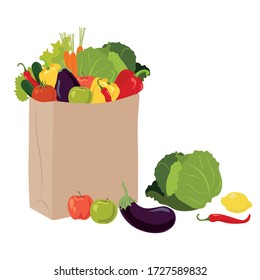 Vegetables in a paper bag. Shopping in the store. Cabbage, eggplant, tomato, carrot, cucumber, lemon, pepper, herbs, apples. Vector. Flat.