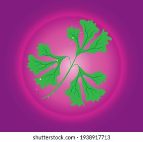 vegetables, parsley. vector image pink background in degrade