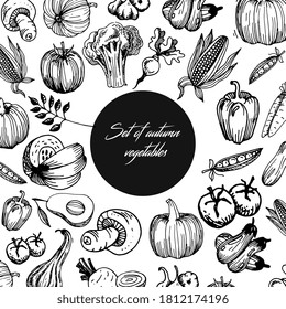 Vegetables pattern.Vector illustration isolated on white background.