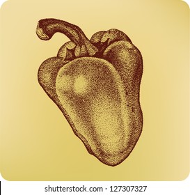 Vegetables peppers, hand-drawing. Vector illustration.